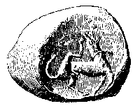 Minoan cylinder seal of dog scratching