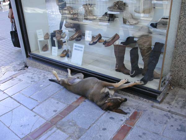 Shops in Crete