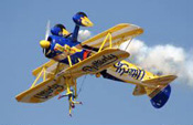 Stearman