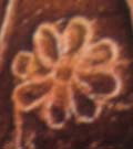 Sunflower, Phaistos Disk Pictograph