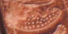 Saw, Phaistos Disk Pictograph