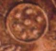 Disk/Shield, Phaistos Disk Pictograph