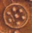 Disk/Shield, Phaistos Disk Pictograph