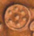 Disk/Shield, Phaistos Disk Pictograph