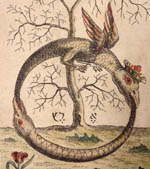 Ouroboros