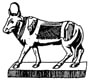 Apis Bull