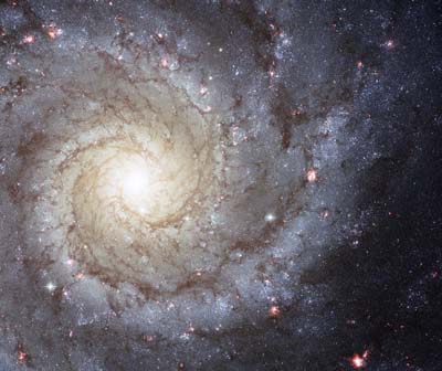 Sunflower Galaxy