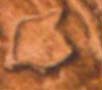 Lion Roar, Phaistos Disk Pictograph Lion Roar, Phaistos Disk Pictograph