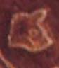 Lionness, Phaistos Disk Pictograph Lionness, Phaistos Disk Pictograph
