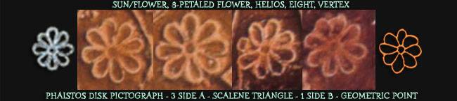 Flower/Island of Crete Flower/Island of Crete