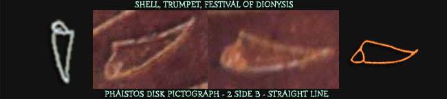 Shell Trumpet Shell Trumpet