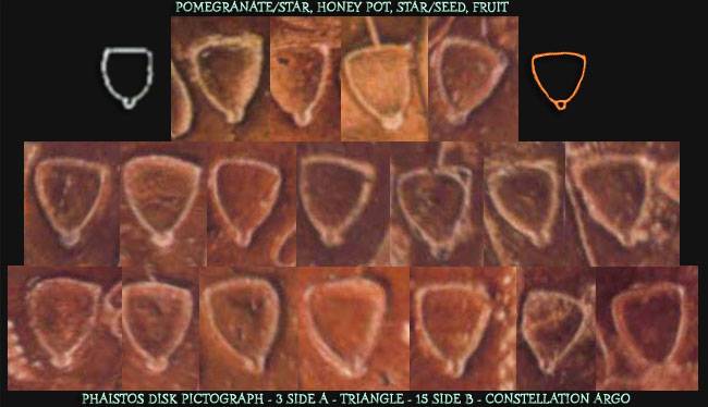 Pomegranate/Star Pomegranate/Star