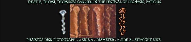 Thistle or Thyrsi Thistle or Thyrsi