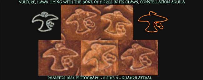 Vulture, Constellation Aquila Vulture, Constellation Aquila