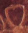 Pomegranate/Star, Phaistos Disk Pictograph Pomegranate/Star, Phaistos Disk Pictograph