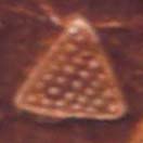 Pyramid, Triangle, Phaistos Disk Pictograph Pyramid, Triangle, Phaistos Disk Pictograph