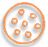 Phaistos Disk pictograph, Shield