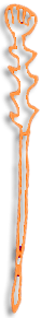 Thyrsoi