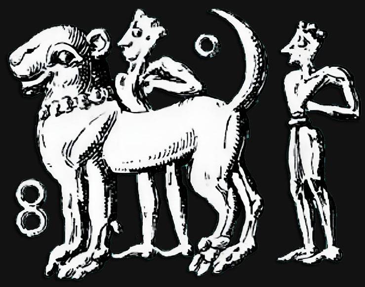 Dog Star