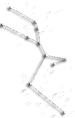 Constellation Taurus