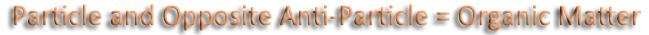 Particle and Opposite Anti-Particle